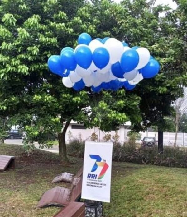 Balon pelepasan - Gambar 3