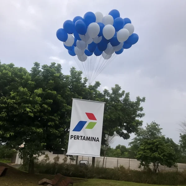 Balon pelepasan - Gambar 4